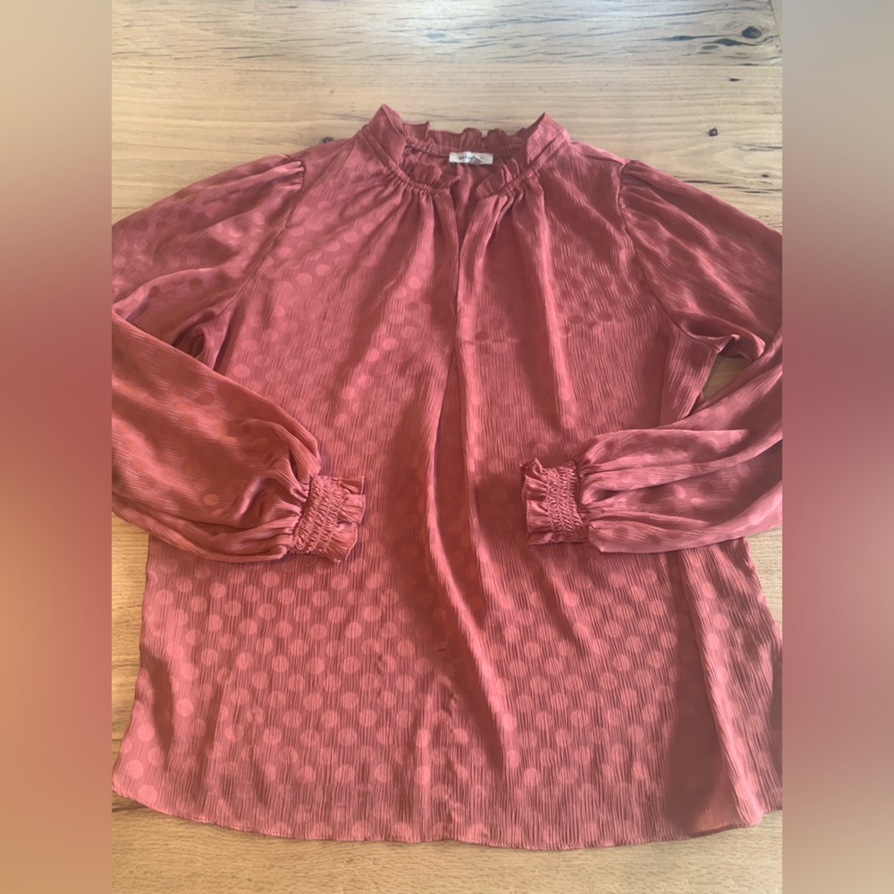 Max Studio Sheer Polka Dot Ruffle Puffed Sleeve Rust Shirt Women’s L‎ Preloved